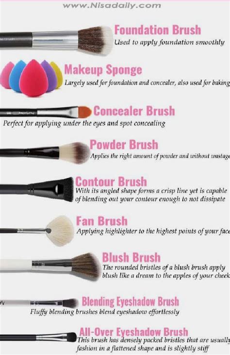 Types Of Makeup Brushes And Their Uses With Pictures Pdf | Makeupview.co