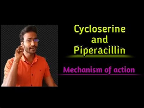 Cycloserine and Piperacillin: Mechanism of action - YouTube