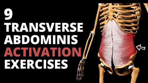 9 Best Transverse Abdominis Activation Exercises For Quick Back Pain