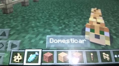 Cómo domesticar ocelotes o gatos de minecraft pe YouTube