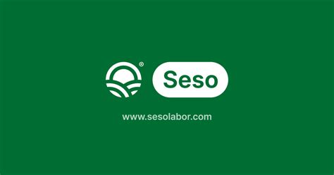 About | Seso, Inc.