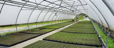 About Us – Banner Greenhouses