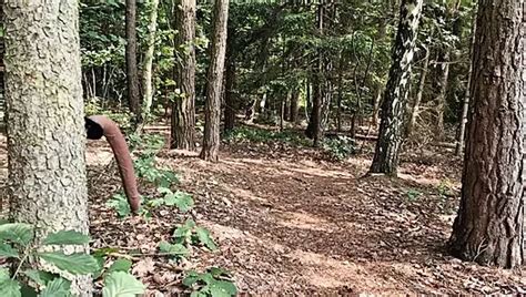 Cruisen Am See German Gay Beach Beach Porn Xhamster