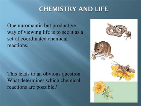 Ppt Chemistry And Life Powerpoint Presentation Free Download Id