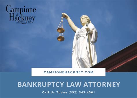 Bankruptcy Lawyers Lake County | A Quick Overview of Bankruptcy Filings