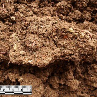 Initial Soil Formation Resulting In Soil Structure Can Be Detected With