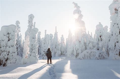 Filming Location: Snow in Lapland | Film Lapland