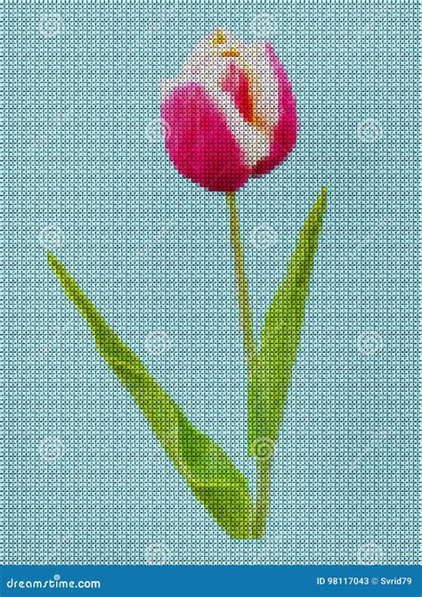 Illustrazione Punto Croce Fiore Del Tulipano Illustrazione Di Stock