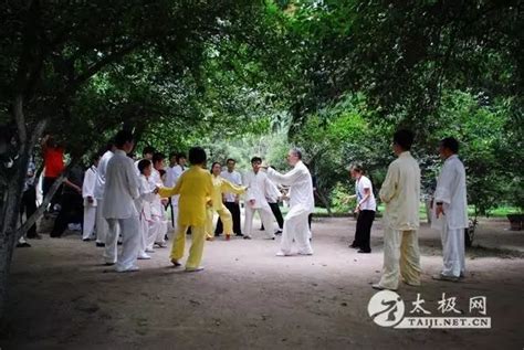 【助你一臂之力】习练太极拳如何获取内功真髓（上）