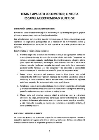 Tema Aparato Locomotor Pdf