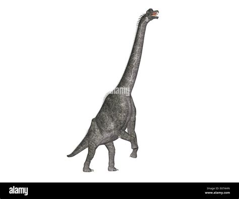 Dinosaurio Brachiosaurus Brachiosaurus Dinosaurier Fotografía De Stock Alamy