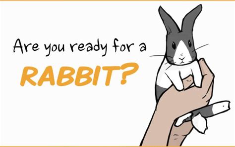 Rabbit Care: The Complete Guide