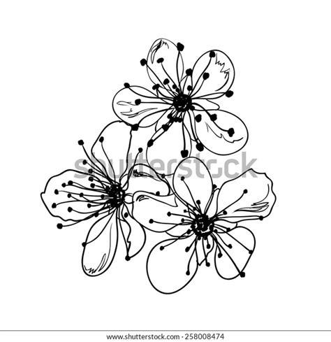 Plum Blossom Hand Drawing Stock Vector Royalty Free 258008474 Shutterstock