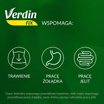 Verdin Fix Z Zielon Herbat Zio A Do Zaparzania Saszetki Szt