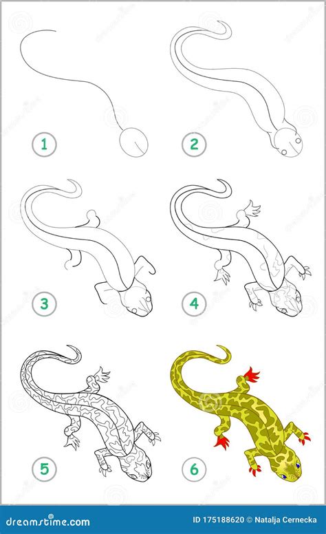 How To Draw Lizard Step By Step