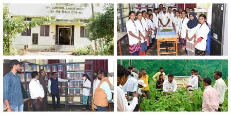 Agriculural Entomology Rajarshee Chhatrapati Shahu Maharaj College Of