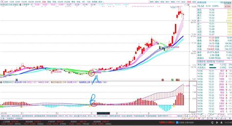 【双周期macd】副图指标，行情与副图指标同步抬高上行，趋势行情趋势跟踪，通达信炒股指标 知乎