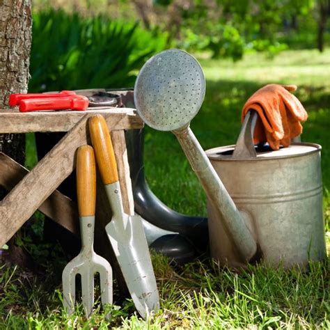 Garden Equipment Buying Guide - Share A Word