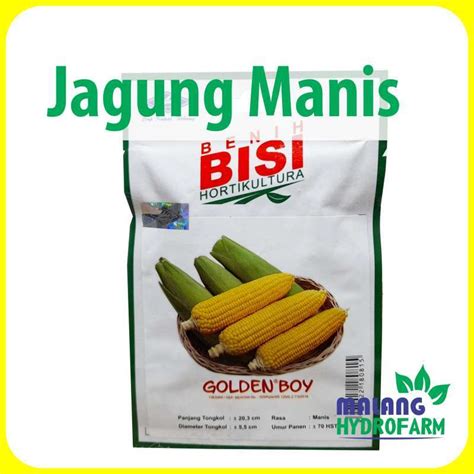 Jual Benih Jagung Manis Golden Boy Bisi Home Garden Unggul Bibit Biji