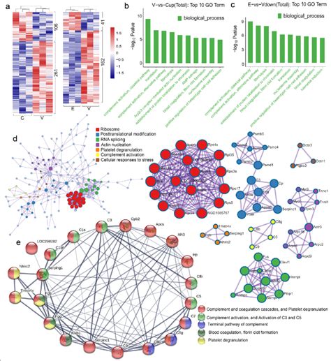 Visualizations Of Go Functional Enrichment And Interactome Analysis