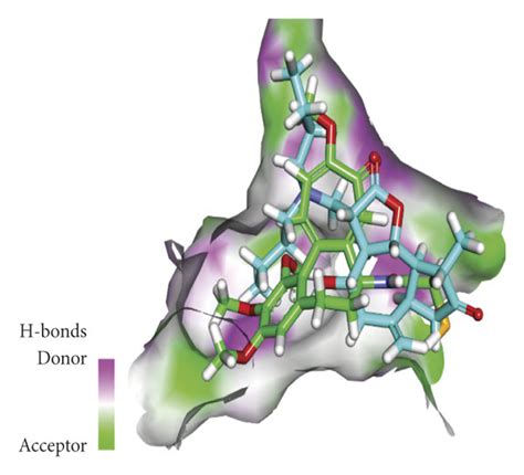 A D Structure Of Compound Docked Into The Colchicine Binding