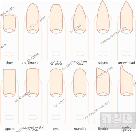 Different nail shapes - Fingernails fashion Trends. Vector illustration ...