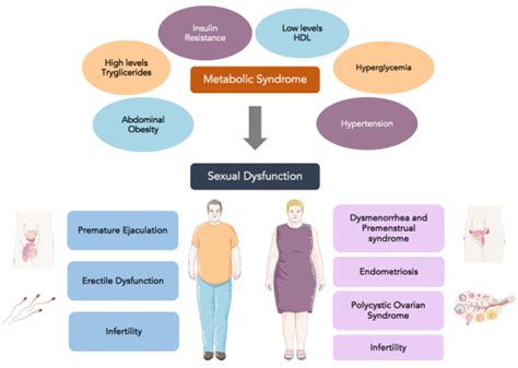 Influence Of Mediterranean Diet On Sexual Function In People With Metabolic Syndrome A