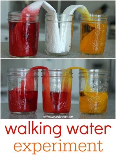 Crazy Cool Walking Water Science Experiment For Kids Coffee Cups And