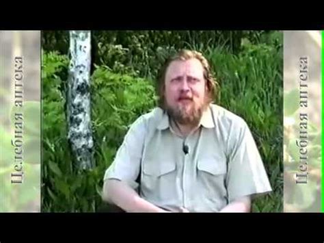 Хмель обыкновенный - YouTube