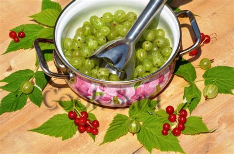 Джем из смородины и крыжовника - Пошаговый рецепт с фото | Консервирование
