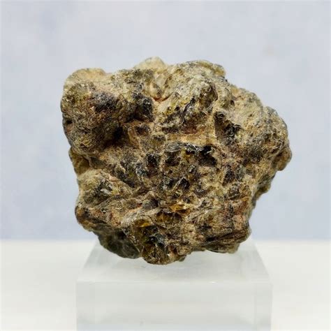 Diogenite Hed Nwa Meteorite From Vesta No Reserve Catawiki