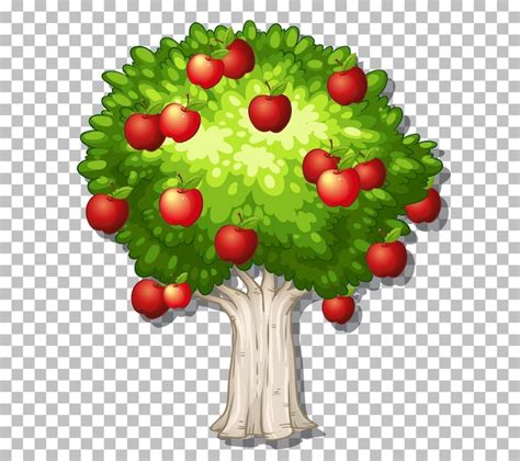 Free Vector Apple Tree On Transparent Background