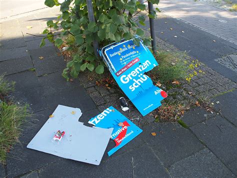 AfD – zu radikal fürs Kapital? » Perspektive