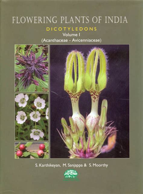 Flowering Plants Of India Dicotyledons Volume Acanthaceae