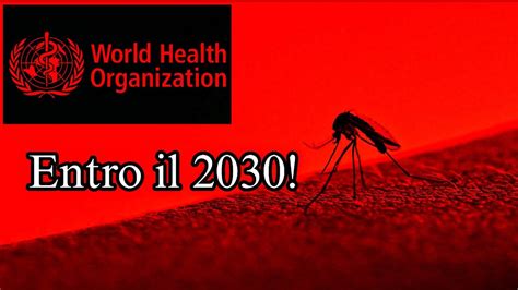 Allarme Dell 0ms Per La Popolazione Mondiale Entro Il 2030 YouTube