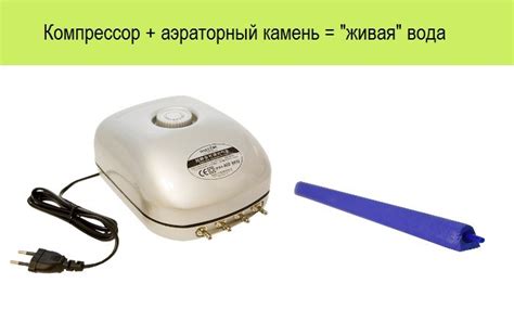 Гидропоника – оборудование для выращивания овощей своими руками