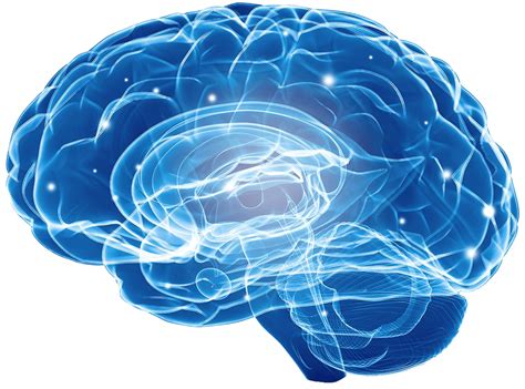 Blue Brain Png Image