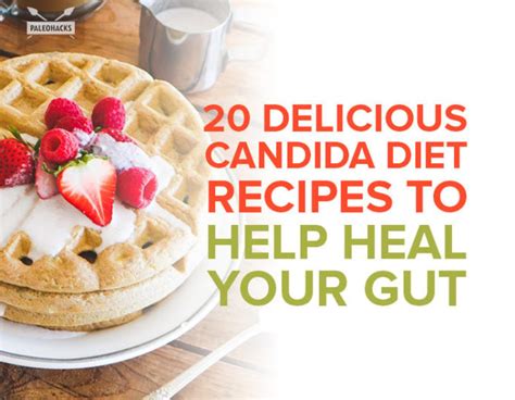 20 Delicious Candida Diet Recipes to Help Heal Your Gut | Paleo Recipes