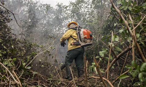 Brasil teve ao menos 1 9 mil focos de incêndio por dia em agosto