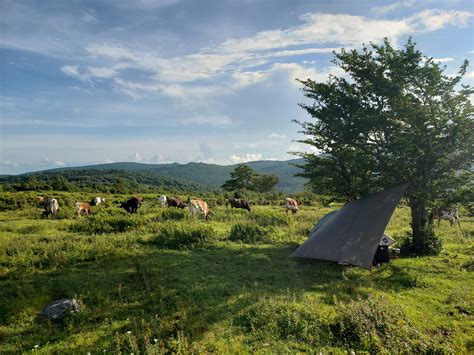 Campsite For The Night In Grayson Highlands State Park Surrounded By