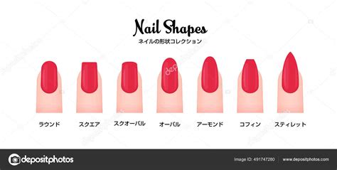 Various Nail Shapes Vector Illustration Set Stock Vector by ©barks ...