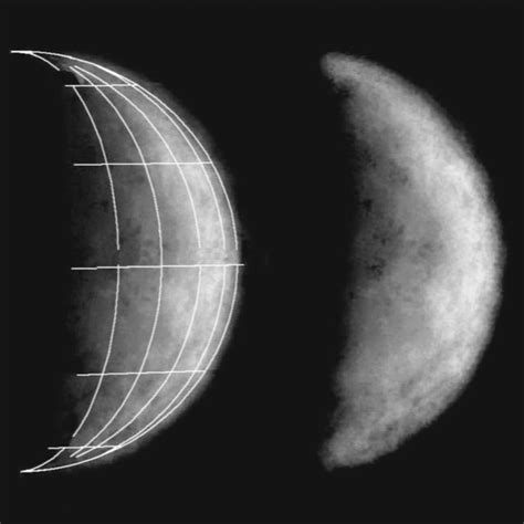 Phase Diagram Of Mercury