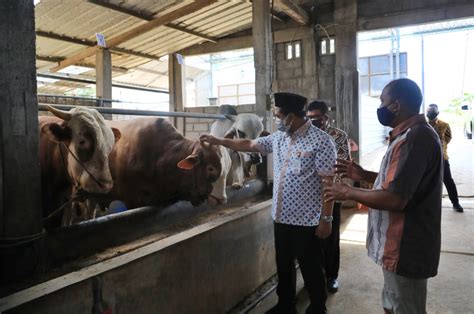 Didatangi Wagub Peternak Hewan Di Ungaran Keluhkan Penjualan Turun