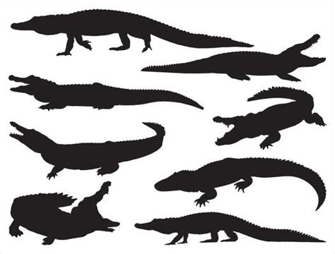 Alligator Clipart Vector Art, Icons, and Graphics for Free Download