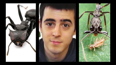 7 Types De Fourmis Incroyables Abs25 Youtube