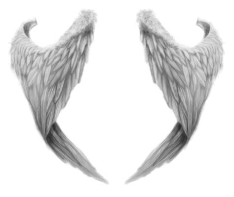 Angel Wings Png 1 by agusrockforlife on DeviantArt