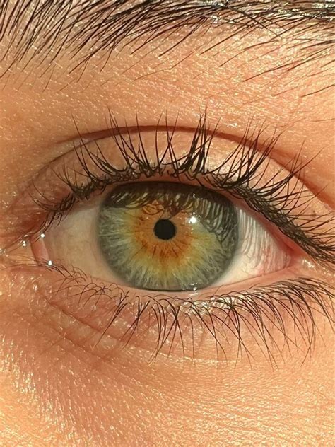 My Eye 😃😃 Ojos Verdes Azules Color De Ojos Ojos Verdes