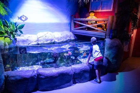 SEA LIFE Aquarium at LEGOLAND California - Carltonaut's Travel Tips