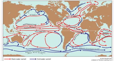 Chp 9 Ocean Circulation Flashcards Quizlet