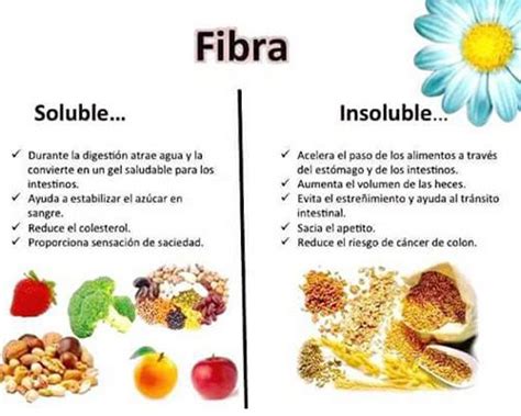 Descubre Los Mejores 10 Alimentos Ricos En Fibra Insoluble Para Tu